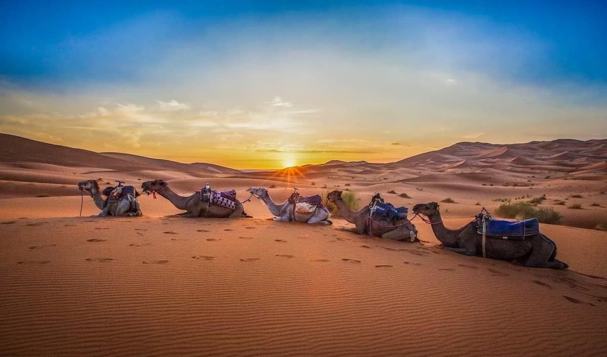 2 day desert tour from Marrakech with camel trek in Merzouga Desert