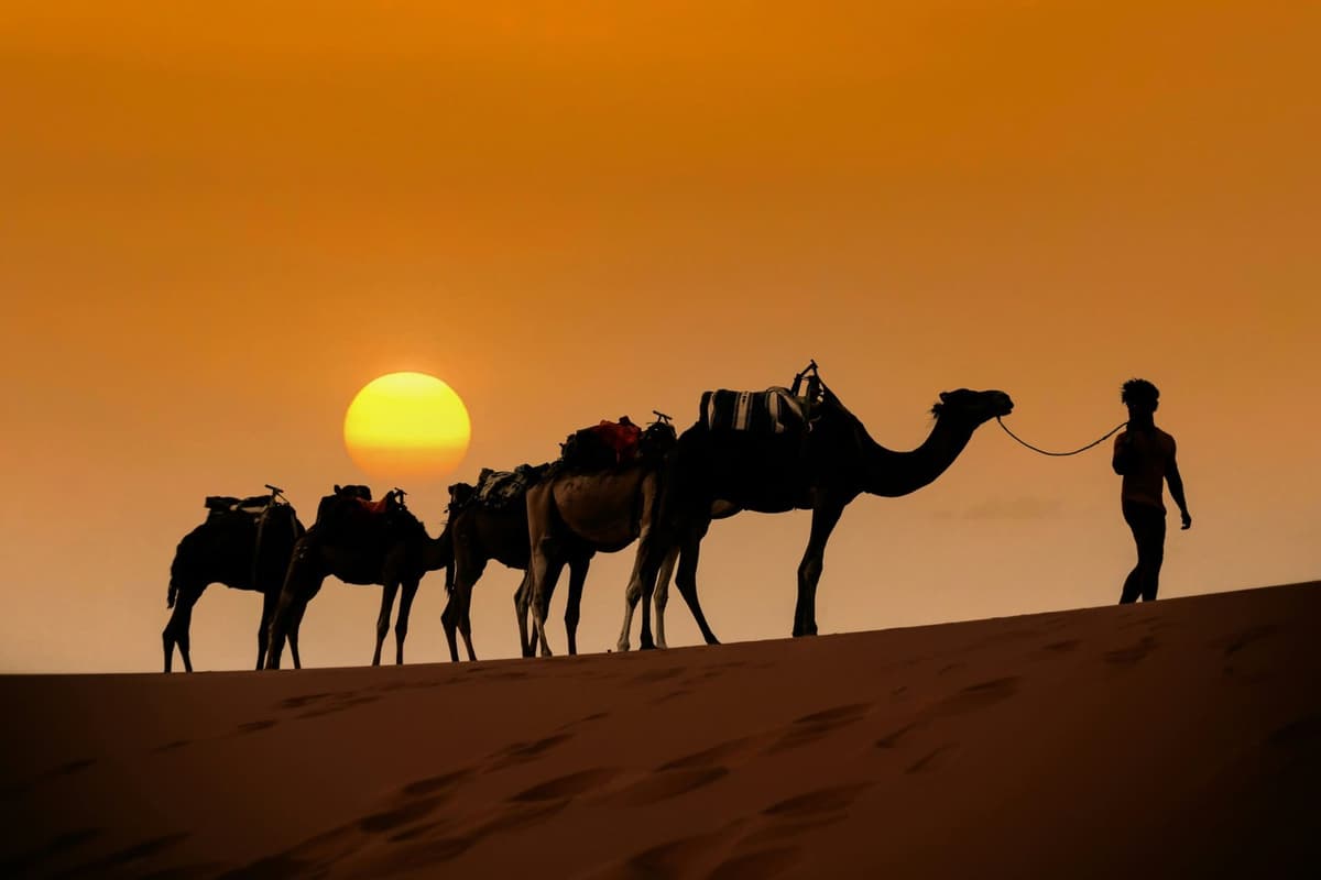3 day Sahara desert tour from Marrakech with camel trek in Merzouga